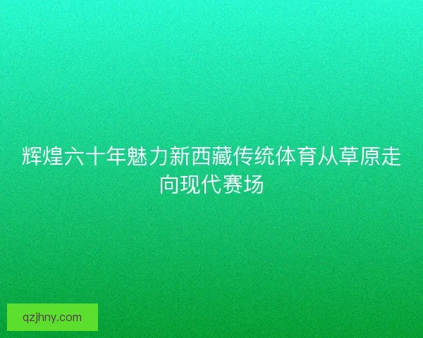 辉煌六十年魅力新西藏传统体育从草原走向现代赛场