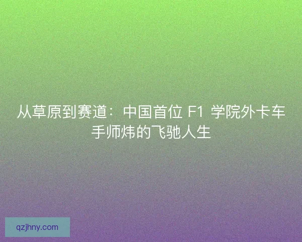 从草原到赛道：中国首位 F1 学院外卡车手师炜的飞驰人生